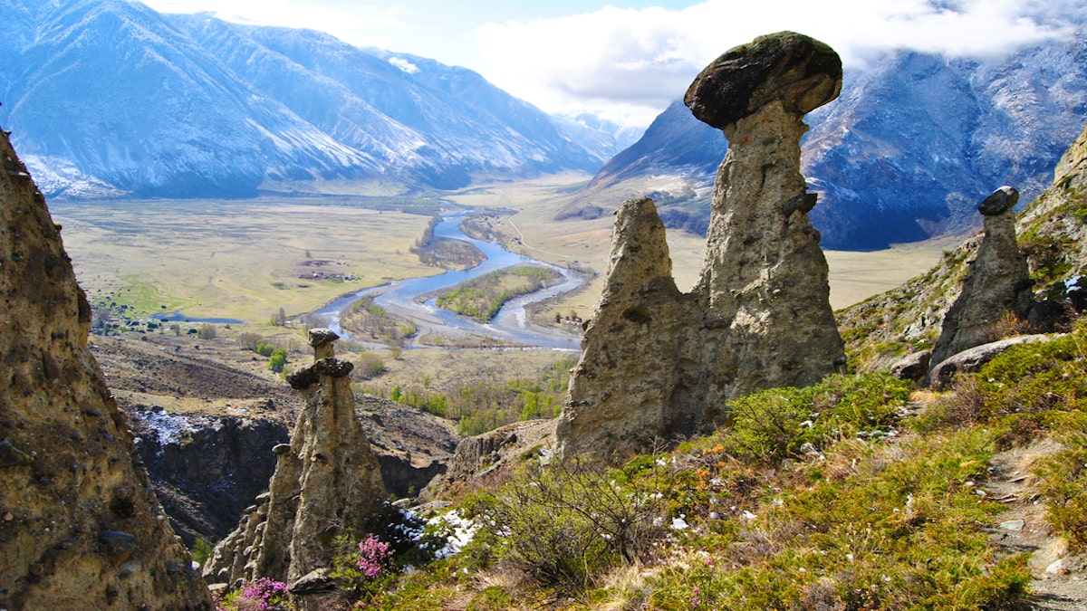 Каменные Грибы Горный Алтай Ак-Курум в долине реки Чулышман